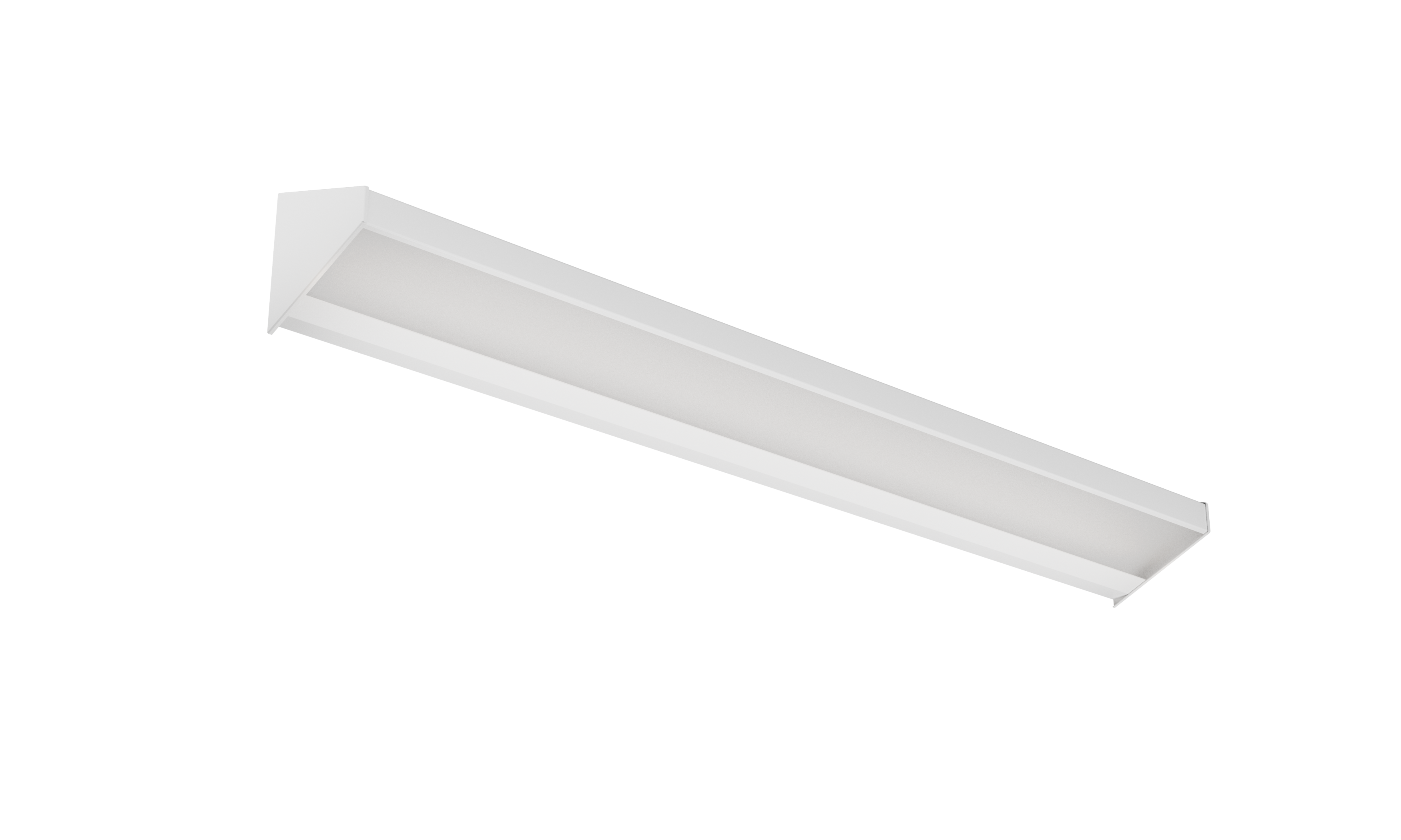 BHW Behavioral Health Overbed Wall Light